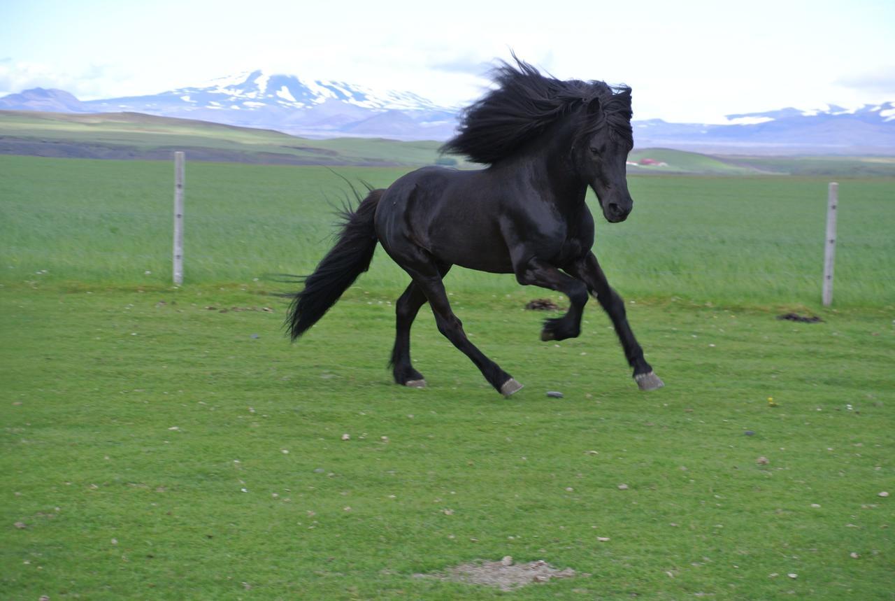 Hekla Adventures Villa Hvolsvollur Bagian luar foto